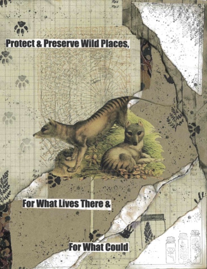 Protect & Preserve Wild Places/Sarah von der Ruhr